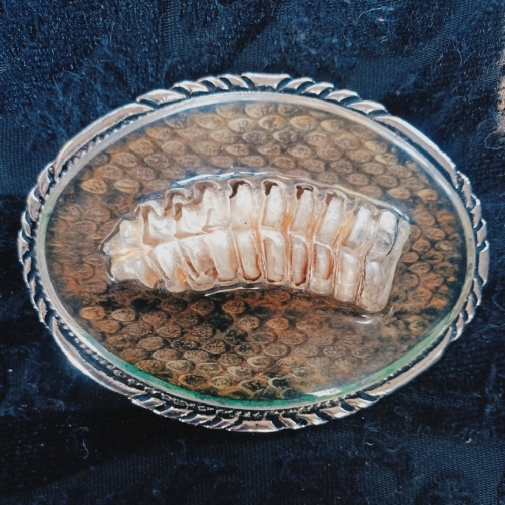 Vintage SSI Diamonback Rattler Belt Buckle